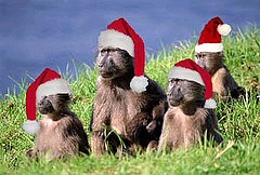 [navidad_tecnococo[3].jpg]