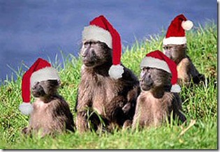 navidad_tecnococo