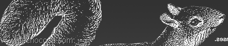 [fuentes_gratis_photoshop_illustrator[10].png]