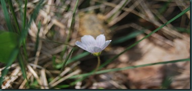 1, mai  09 rs 050