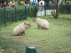 pict6472.jpg