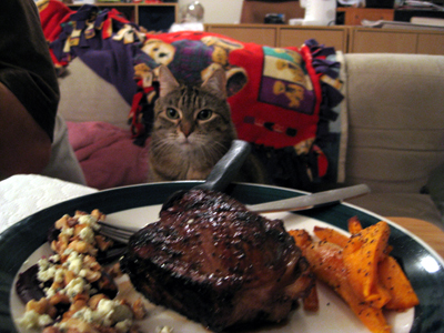 baby girl and steak