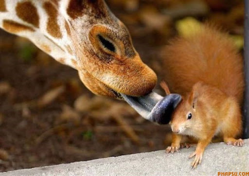 cute_moments_of_640_66.jpg