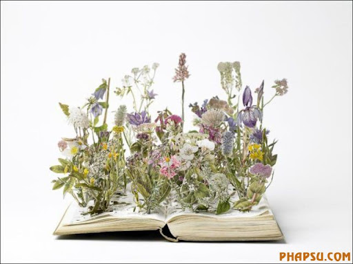 Awesome_Book_Sculptures_32.jpg