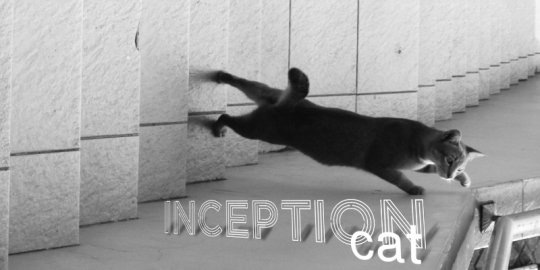 [Imagen: Inception+Cat%5B4%5D.jpg]