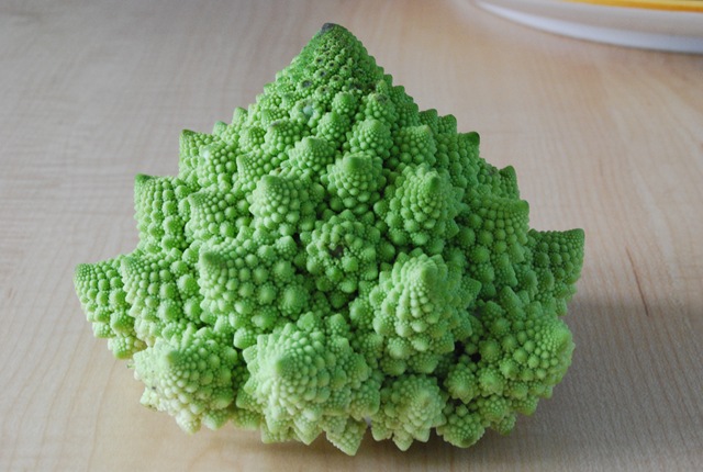 [Cauliflower_Fractal_AVM[2].jpg]