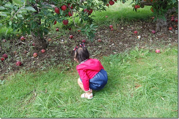 Imported Photos 00127