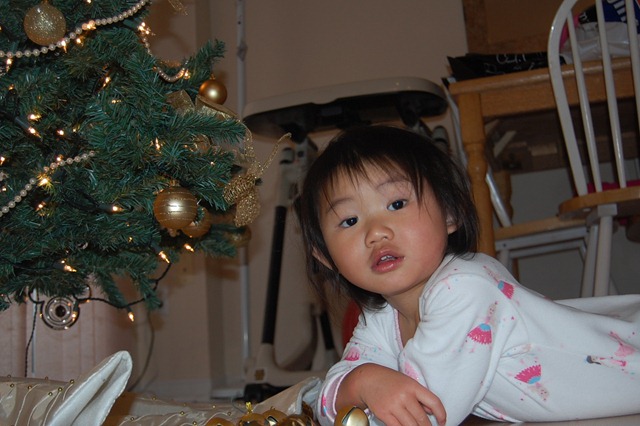 [DSC_6088[2].jpg]