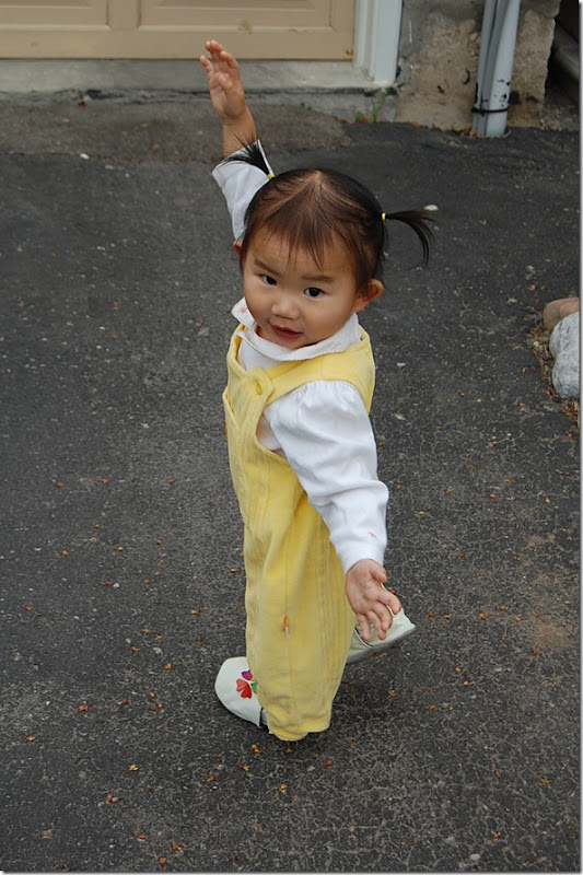 Imported Photos 00064
