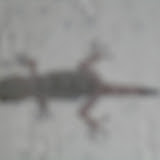 DSCN1979.JPG