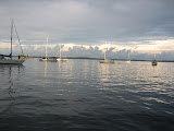 After a storm in Sloop Cove #1