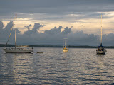 After a storm in Sloop Cove #2
