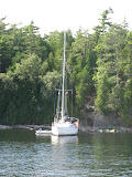 Another boat at anchor in Sloop cove