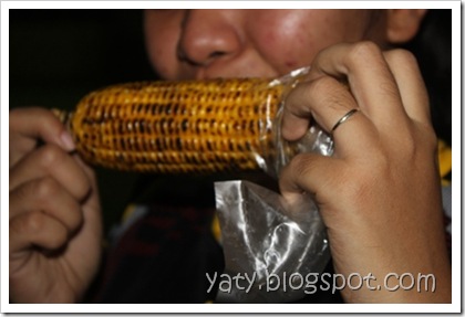 IMG_0892 IMG_0892