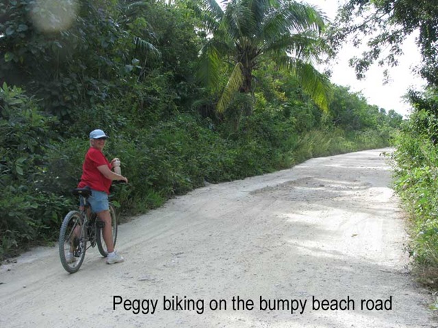 [BeachBike3.jpg]