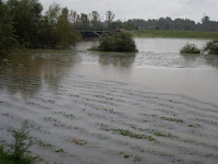 SDC14622.JPG Photo