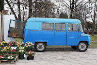 IMG_3553.JPG Photo