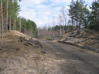 IMG_0221.JPG Photo