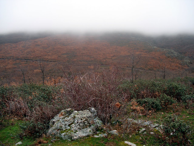 Sierra de Ayllón