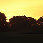DSC05650.JPG