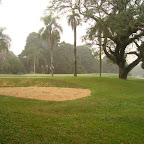 DSC02950.JPG