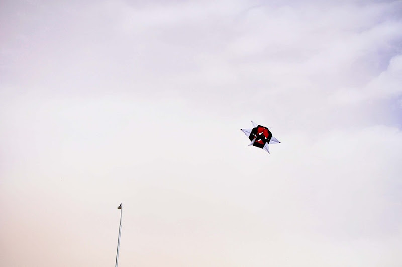 DSC_5061 DSC_5061