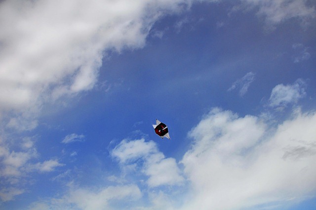 [DSC_50413.jpg]