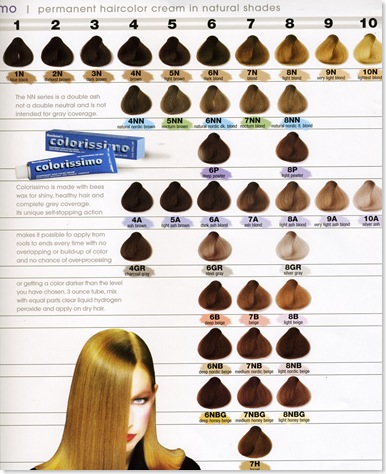 Level 4 Hair Color Chart