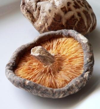 [dried-shiitake-mushroom-2-934x1024[3].jpg]