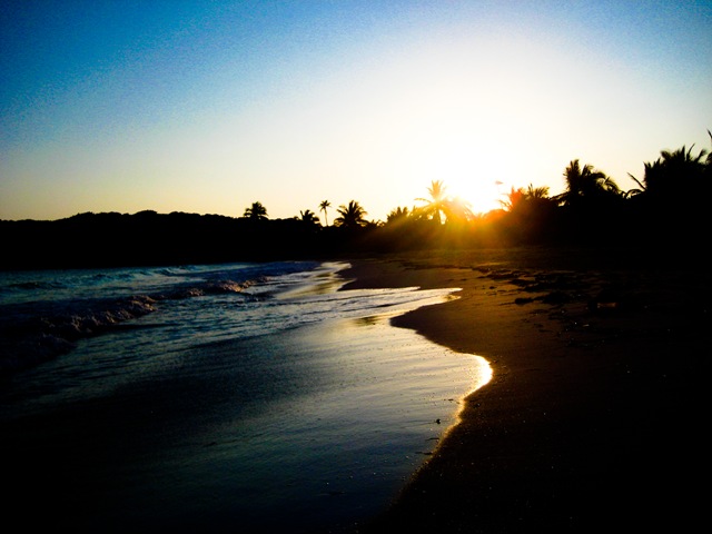 [Puerto Rico 2010 117[2].jpg]