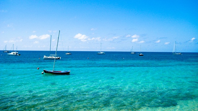 [Puerto Rico 2010 123[2].jpg]