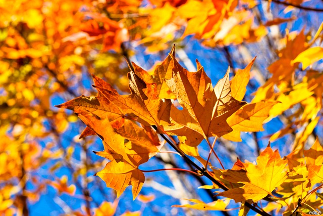 [Fall 2010 139[7].jpg]