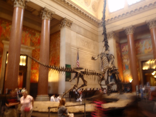 [P70102033.jpg]