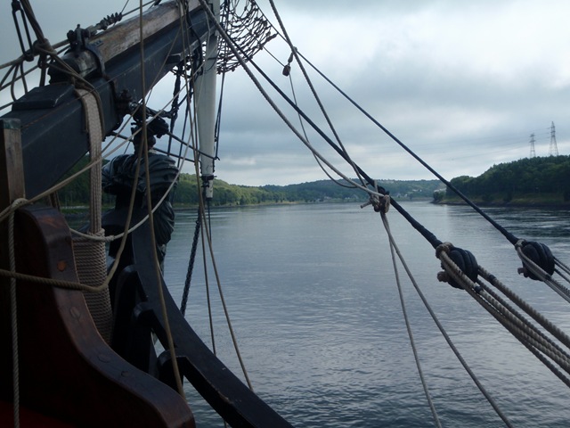[P70702733.jpg]