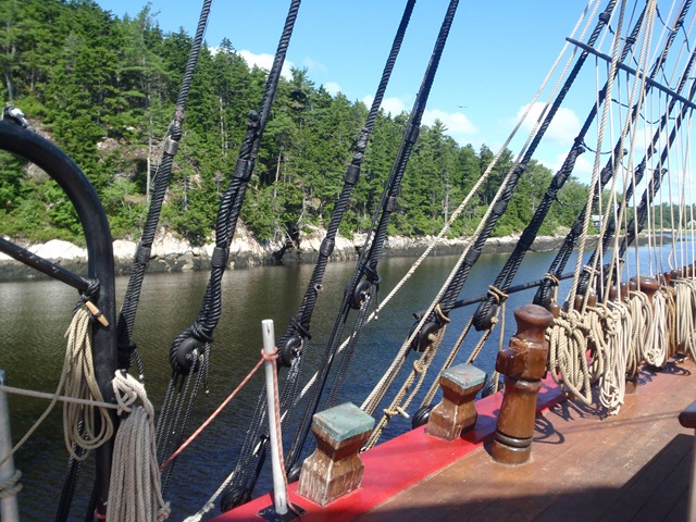 [P70902913.jpg]