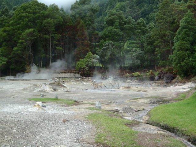 [PA1102395.jpg]