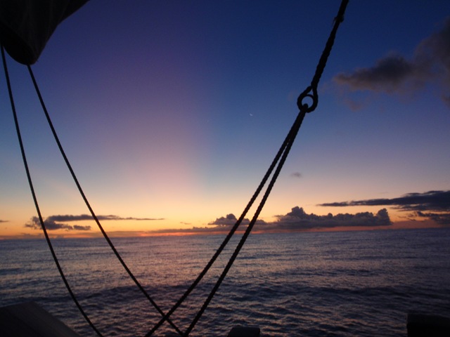 [PA1500057.jpg]