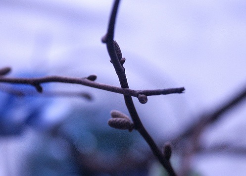 [clip_image0134.jpg]