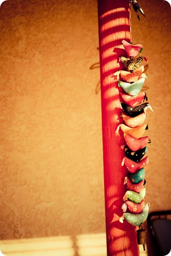 IMG_8680