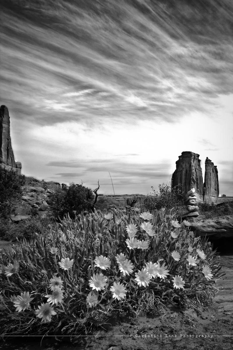 [_MG_4864-Edit-Edit[5].jpg]