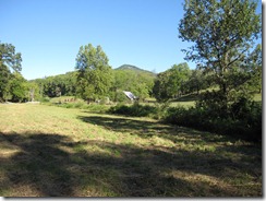 Big Branch looking toward Chambers Mtn