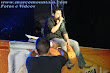 7� Fest�o na Praia