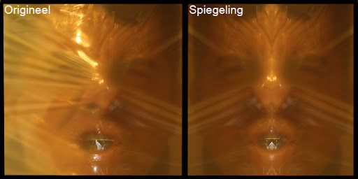 Fotografie