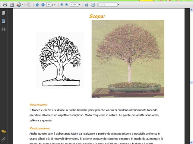 [manualebonsai3[5].jpg]