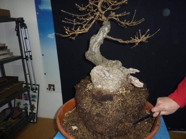 [25087_1141732083994_1848227876_2725[3].jpg]