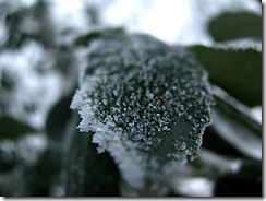 IMG_0185