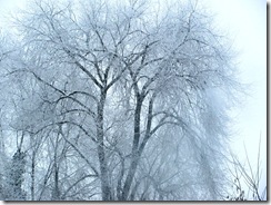 IMG_0199