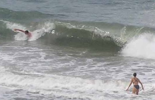 [Bronze Whaler at Papamoa[4].jpg]