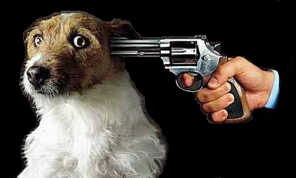 [dog_gets_it[2].png]
