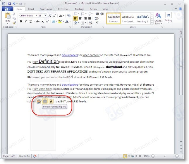 MS WORD 2010
